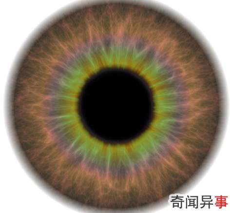 哈勃望远镜拍摄星系碰撞 似企鹅护蛋