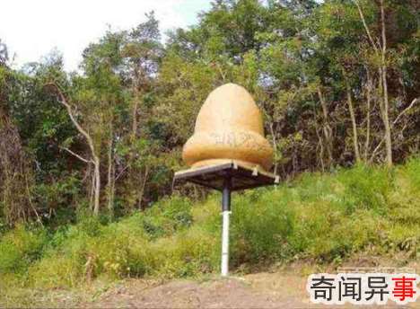 ȫʮUFO¼