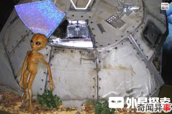 外星人对地球人的实验结束后……