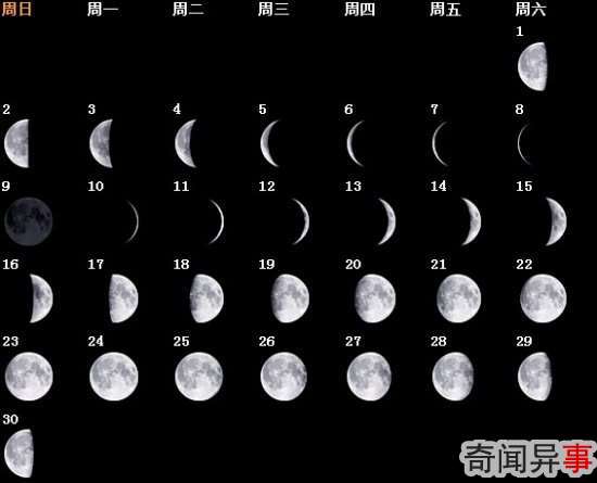 仯ĿԵ˯