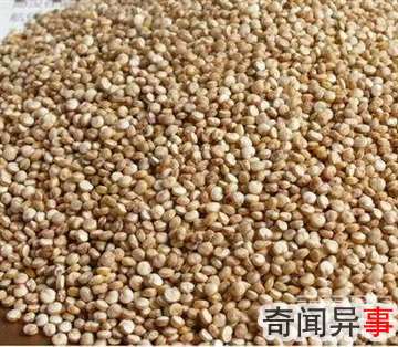 中国人离不开的健康食物:第一是它