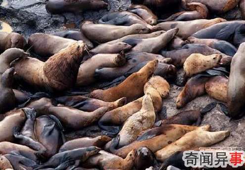 闻名世界的8大洞穴秘境 去了小心回不来
