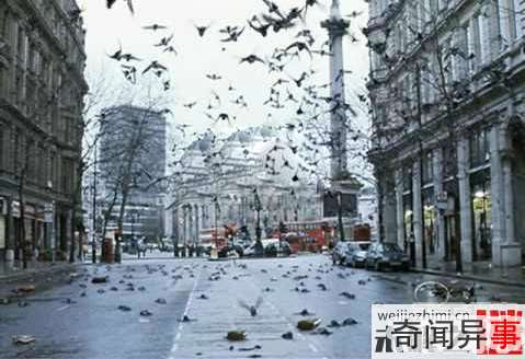 大气层藏外星人?飞行员离奇死亡