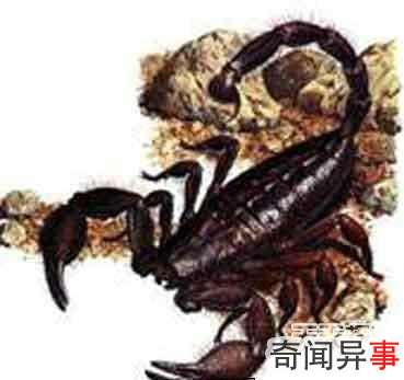 毒物