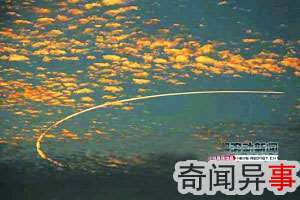 北京专家:外星人存在也许就在我们身边