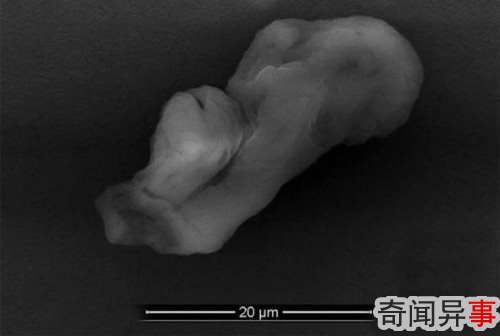 地球边缘发现神秘太空生物:形似人类胎儿