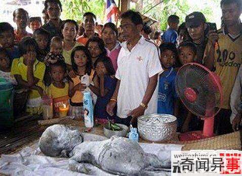全球离奇事件:女子竟然产下外星婴儿