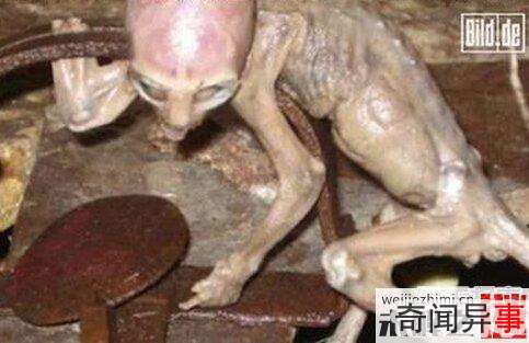 全球离奇事件:女子竟然产下外星婴儿