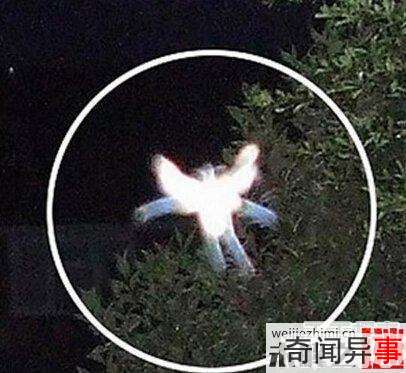 全球离奇事件:女子竟然产下外星婴儿