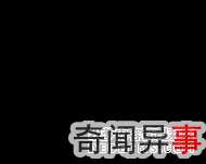白铁皮