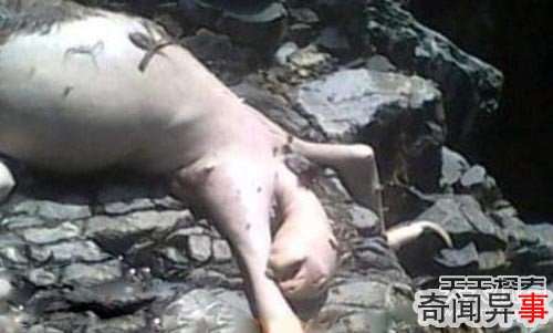 有图有真相!最真实的外星人事件大曝光