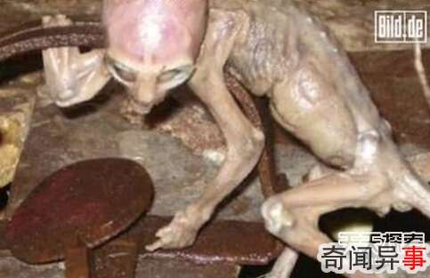 有图有真相!最真实的外星人事件大曝光