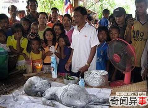 有图有真相!最真实的外星人事件大曝光