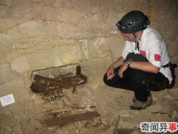 埃及沙漠地下墓穴发现800万条木乃伊狗