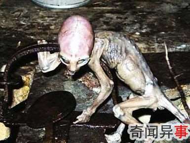 UFO事件频发外星人婴儿遭捕获?