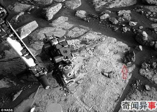 火星表面发现神秘陨石
