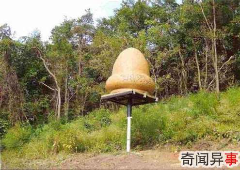 "隐瞒UFO真相" 美宇航局被推上被告席!