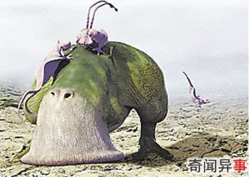 外星生物