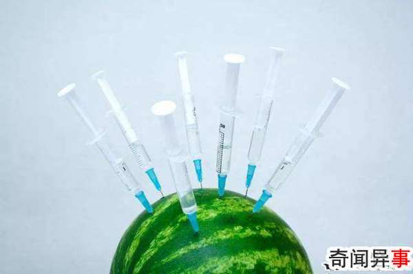 打针西瓜是什么?真的存在被打针的西瓜吗
