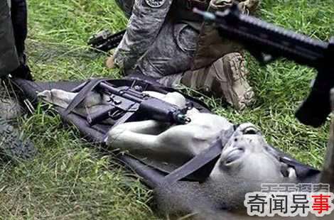 宇宙阴谋论 为何外星人飞碟频频无故坠毁