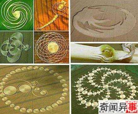 麦田怪圈持续四百年是外星人恶作剧?