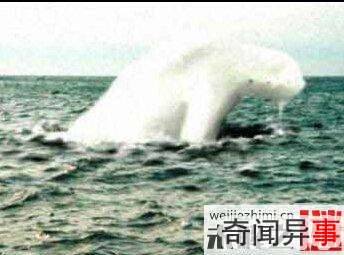 南极拍摄到神秘巨型人类 身高30米!