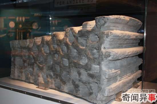 룡ŷվ3Dӡ