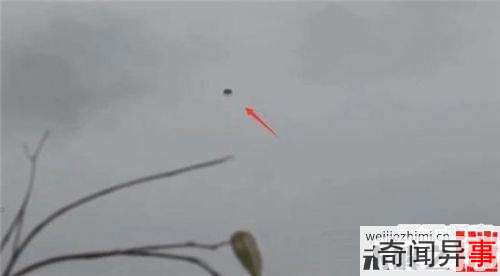 ౻ع⣺UFOս