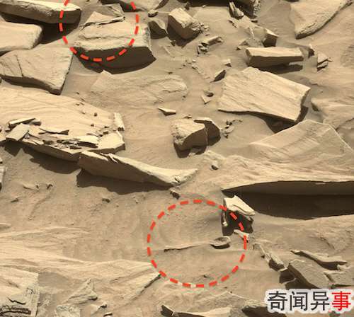 火星又给我带来一些奇怪物件