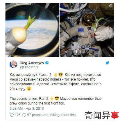 国际空间站一颗洋葱发芽啦,听说大家都很想尝尝