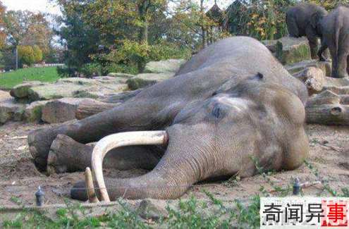 ʵ飺ཻ