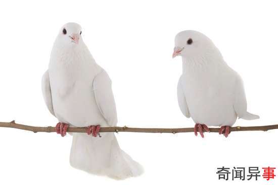֮̽գִŸӦ