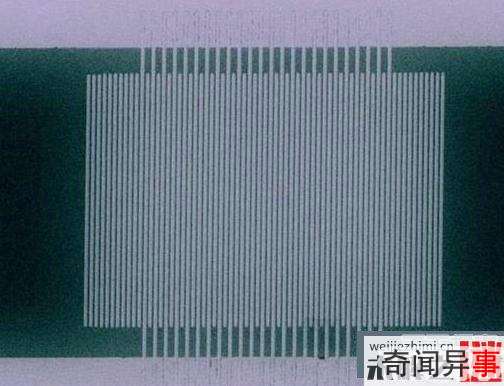 ʵ100˲ ˲䴫ͳ