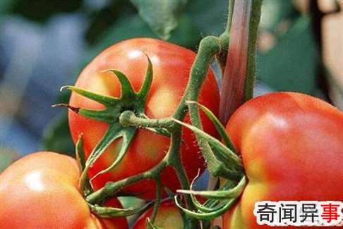 ᳤?ᣬ2%(Ѫ)