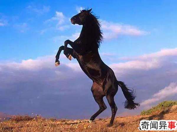 йŴʮ ÿһƥͬͷ