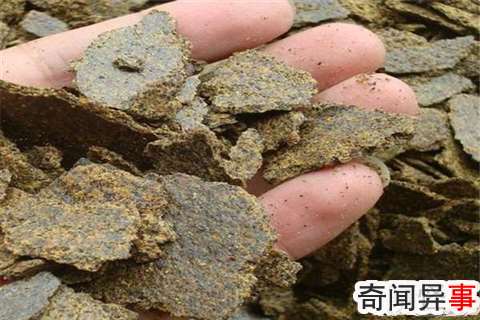 油菜饼加水发酵要多久 夏季发酵一个月/春秋季需40天