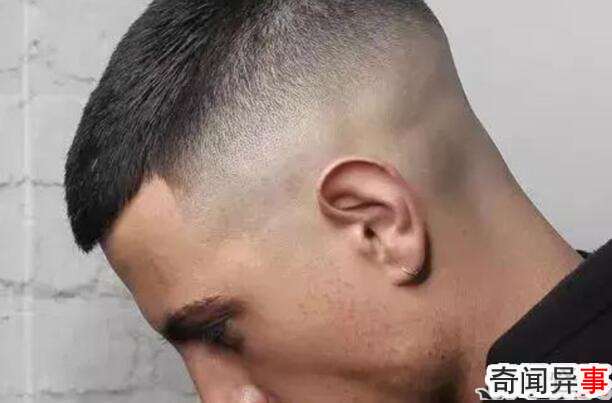 зǵΣ׹ͷ͹Ѳ