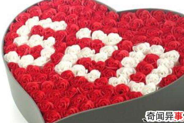 520ڹŴʲô?˽һ콫ɶ