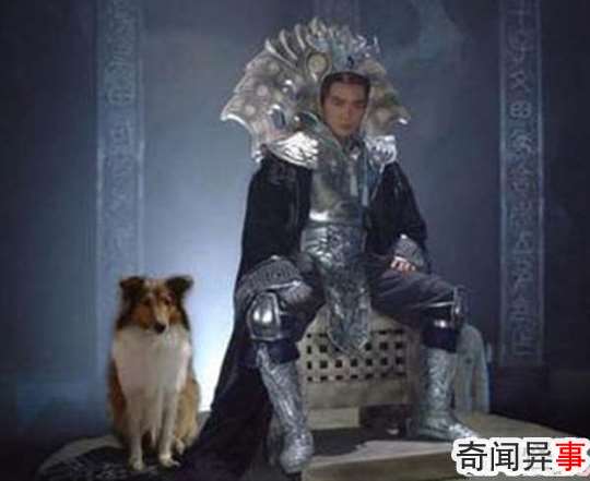 哮天犬的来历,哮天犬在天上是什么神(辅助二郎神斩妖除魔)