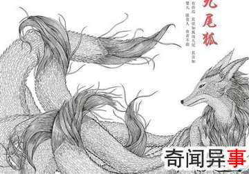 九尾狐真的存在吗?揭秘古代神话传说中的九尾狐