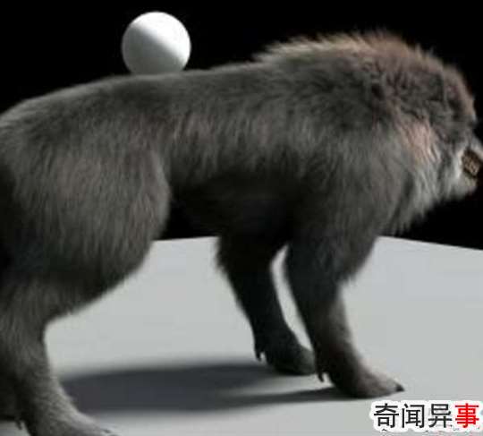 哮天犬的来历,哮天犬在天上是什么神(辅助二郎神斩妖除魔)