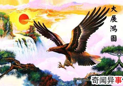 求这个大鹏展翅的高清图片,谢谢大神