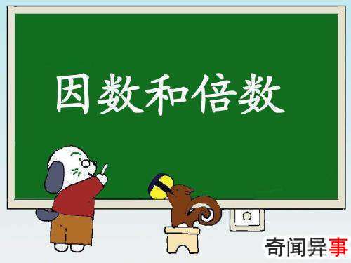 8的倍数有哪些