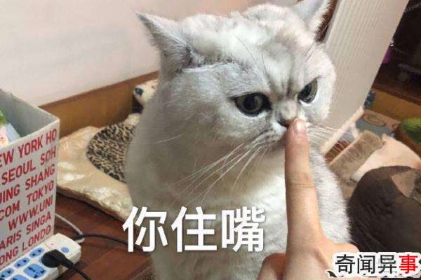 Xmʲô˼?ƾ(Գ)