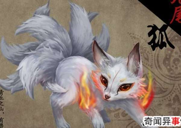 九尾狐真的存在吗?揭秘古代神话传说中的九尾狐