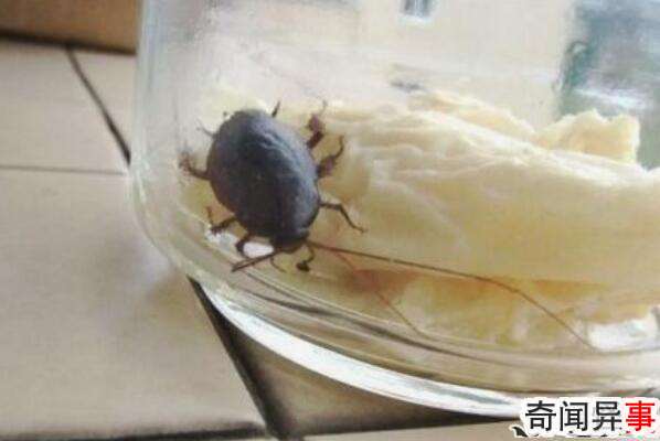 ôףˮ岶(벻ϲϴ·Һ)