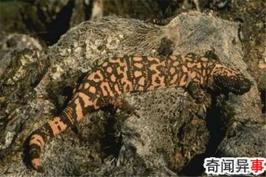  ᣨī֮䣩