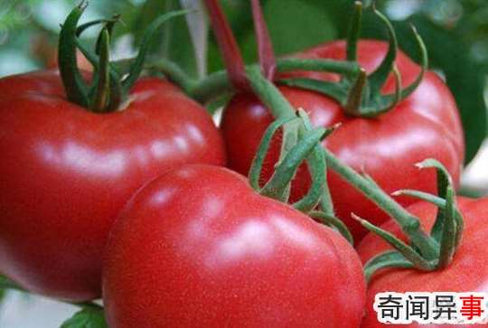 ᳤?ᣬ2%(Ѫ)