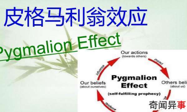 皮革马利翁效应是什么?