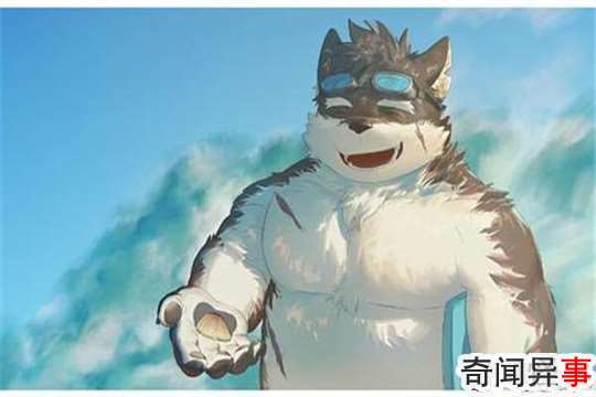 furryʲô˼ ָ˻ǳȤȺ